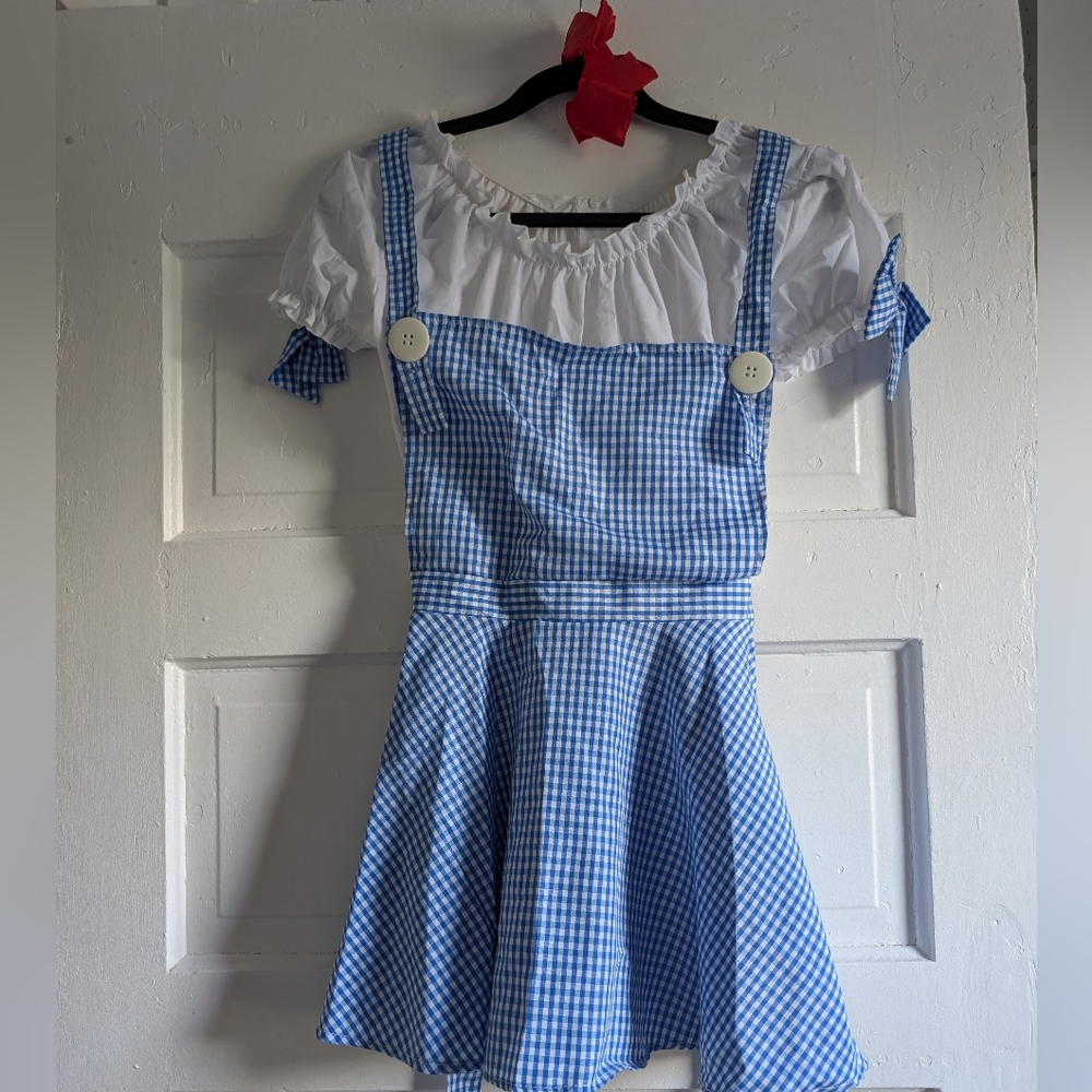 Complete Wizard Of Oz Dorothy Costume Large